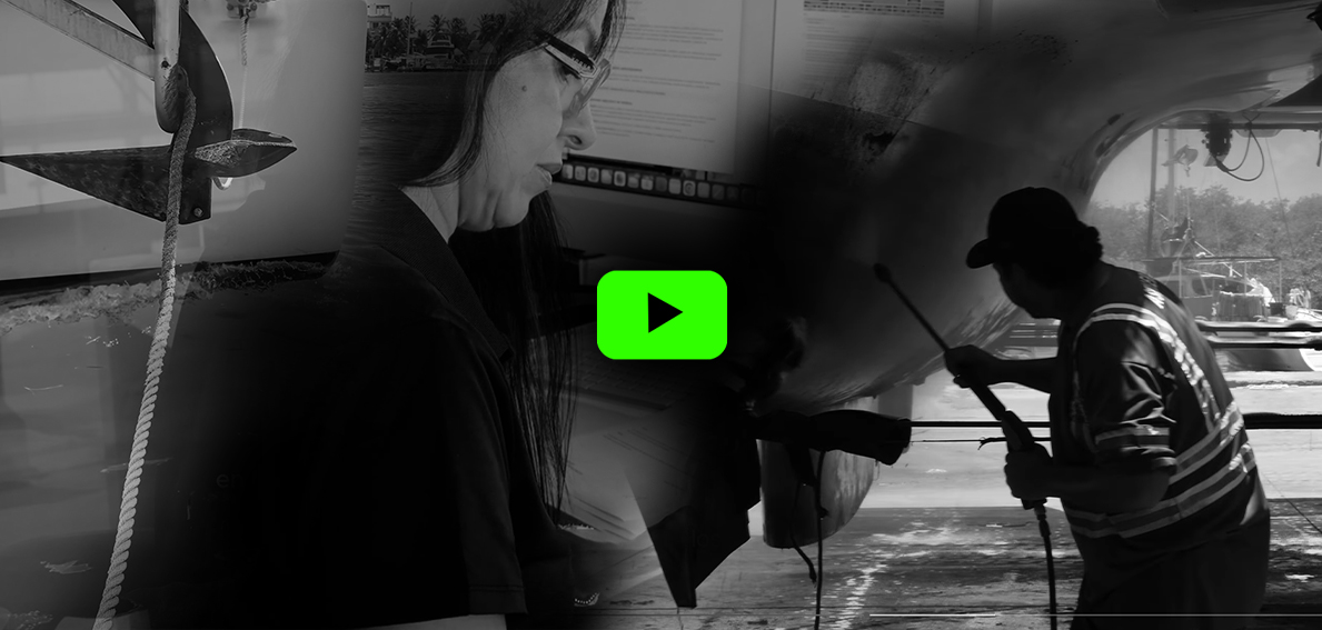 Ver video