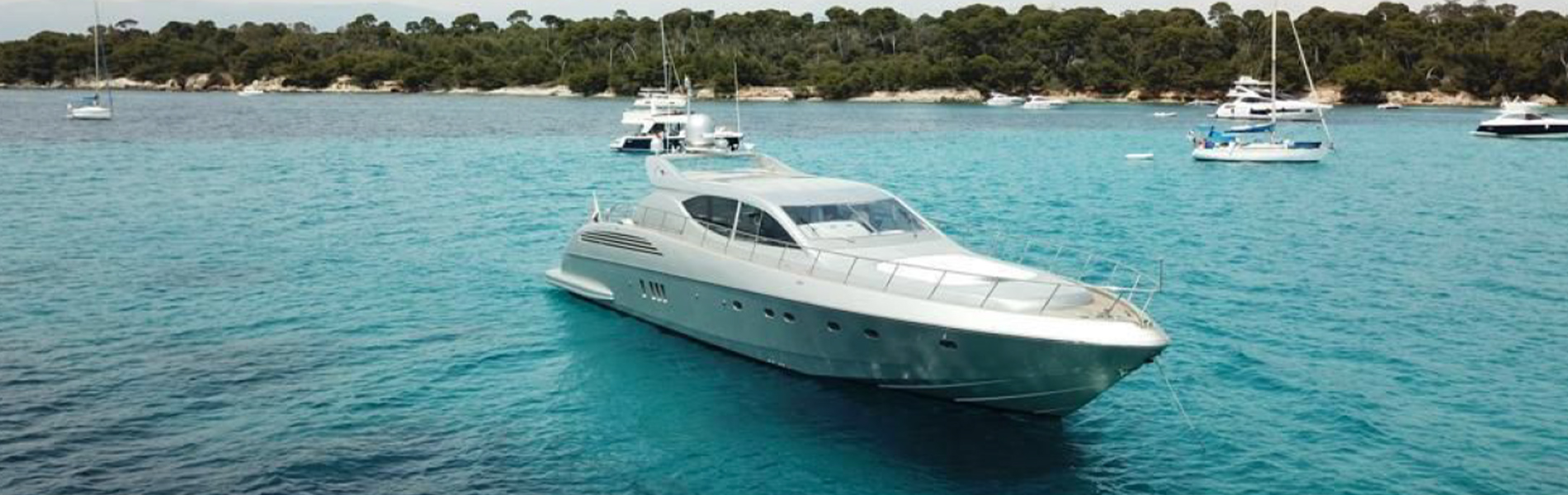 Leopard-24-LSM-(2005)