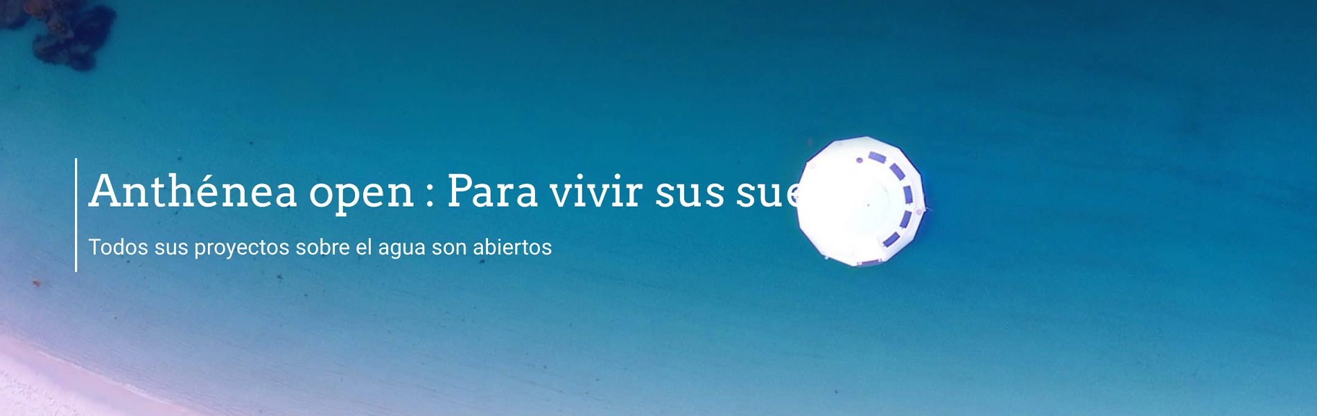 Anthenea-Open