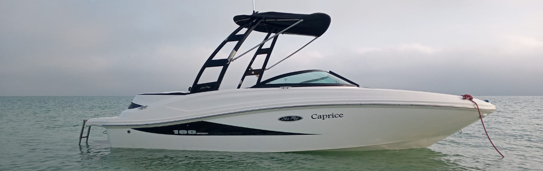 Sea-Ray-190-Sport-(2013)