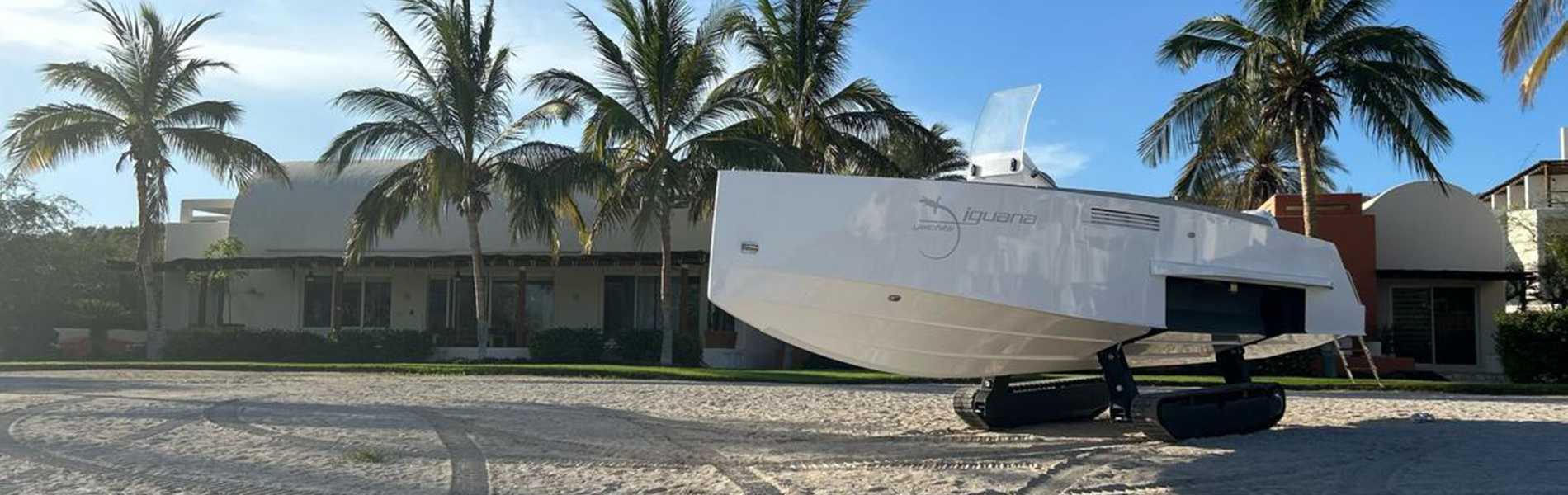 Iguana-Original-(2023)