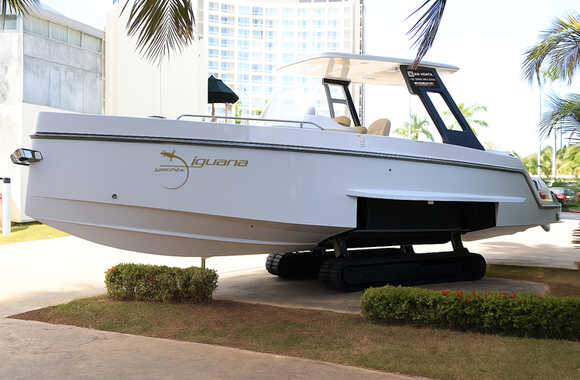 Iguana Sport 30 (2025)