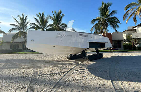 Iguana Original (2023)