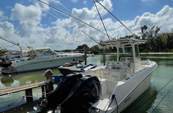 Boston Whaler 25 (2013)