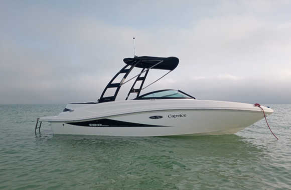 Sea Ray 190 Sport (2013)