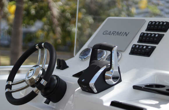Iguana-Sport-30-(2025)