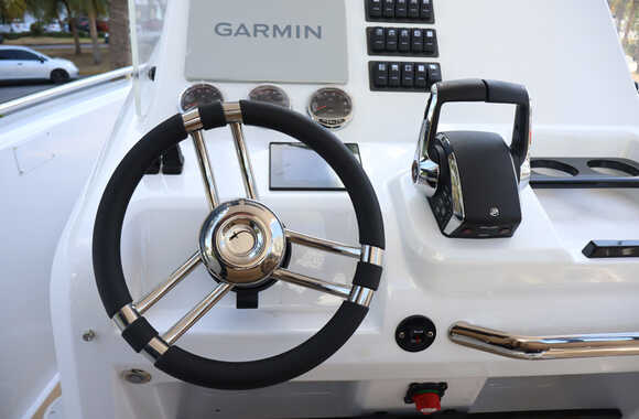 Iguana-Sport-30-(2025)