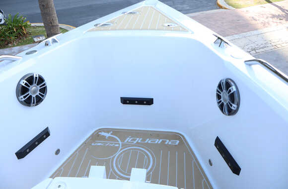 Iguana-Sport-30-(2025)