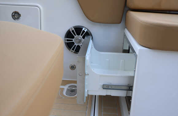 Iguana-Sport-30-(2025)