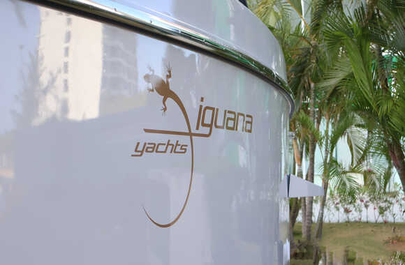 Iguana-Sport-30-(2025)