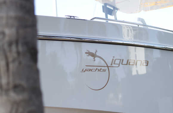 Iguana-Sport-30-(2025)