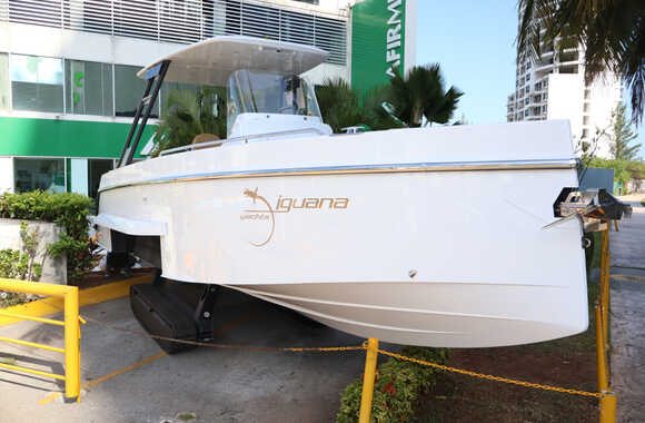 Iguana-Sport-30-(2025)
