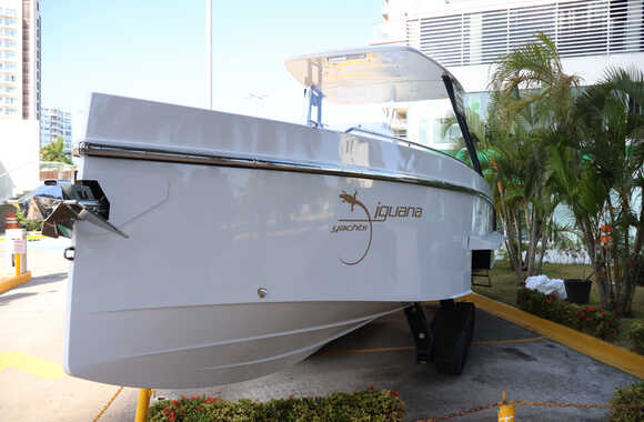 Iguana-Sport-30-(2025)