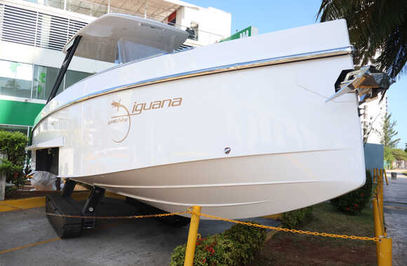Iguana-Sport-30-(2025)