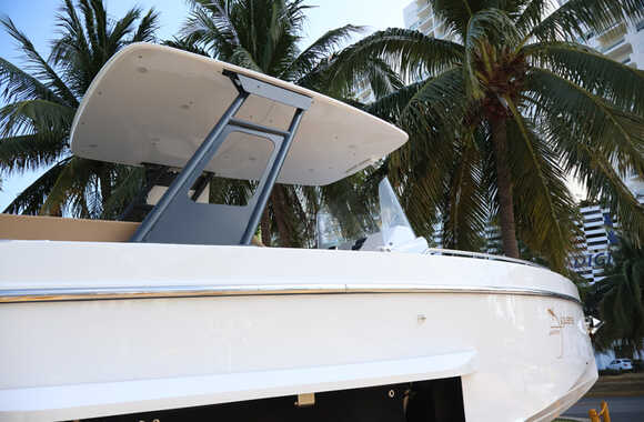 Iguana-Sport-30-(2025)