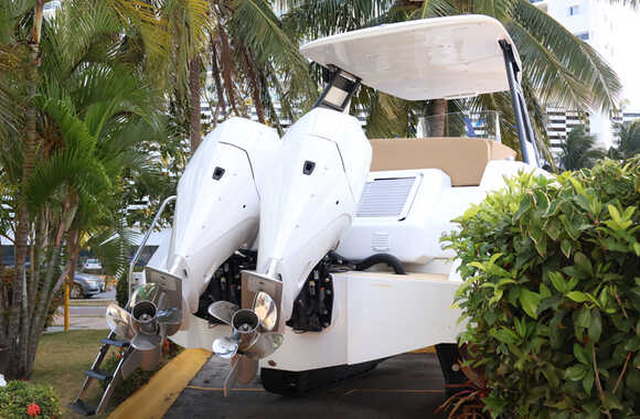 Iguana-Sport-30-(2025)