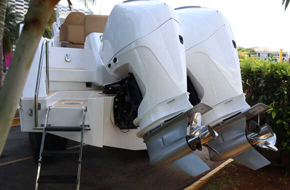 Iguana-Sport-30-(2025)