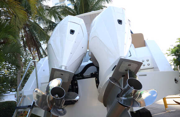 Iguana-Sport-30-(2025)