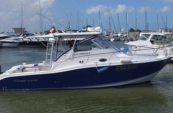 Boston Whaler 345 Conquest (2008)